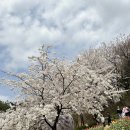 용인대NO.1태권도장 이미지