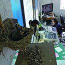 새청주주유소 이미지