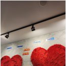 달샘트리 이미지