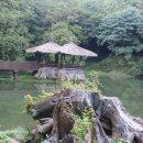 아리산 이미지