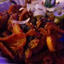 코요테앤어글리 이미지