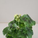 더숲엔젤 이미지