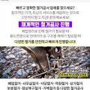 거산주유소 이미지