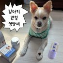 닥터펫푸드 | 강아지 관절 영양제 추천 닥터독 베츠초이스 뉴트리션 관절 플러스 급여 후기