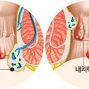 유항외과 이미지