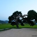 옥산1리 이미지