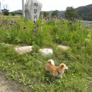 마달리 이미지