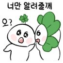 비단베이커리&카페