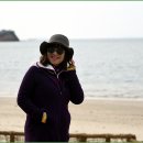 바다와소나무 이미지