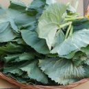 온다네민박 이미지