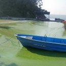 동영주유소 이미지