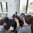 춘천애견미용학원 이미지