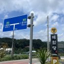 울산 베이커리카페 율리카페 &#39;해월당&#39;