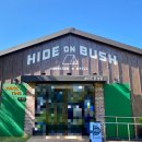 하이드온부쉬 | 신상카페] (내돈내산) 애견동반 가능한 북한강뷰 카페, 마카롱을 서비스로 주는 카페 “하이드 온 부쉬”