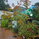 모네 | [파주 실내 애견동반 브런치카페 추천]실내+정원 있는 ‘라메종모네’ 후기 (오늘도 내돈내산)