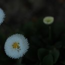 문화초교 이미지