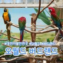 플로라다육정원 | 대전 오월드 버드랜드 관람 후 식사 후기(음식점 소바공방)
