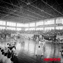 월드태권도 이미지