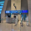 1301 | 일본 오사카 인천공항 1터미널 제주항공 7C1301 탑승 수속 좌석 후기