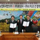 주식회사 청아띠
