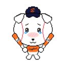 [한화이글스]문동주 포토그레이 후기(그리고사랑해🧡)