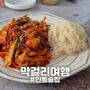 [안동] "막걸리여행" 안동회곡막걸리 홍어삼합전문 안주맛집 후기