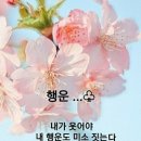 토스트김밥 이미지