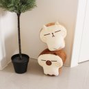 빵냥빵냥