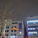 우수영동물병원 네이버블로그