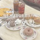 모락베이커리카페 | 제주 시내 카페 추천 유럽 감성 베이커리 카페 제주 모락