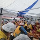 대한적십자사 이미지