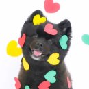 아기곰스튜디오 이미지