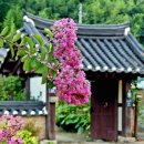 영화황토민박 이미지