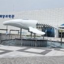 울진대게집일출 이미지