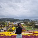 육일산업 | 전주 당일치기 or 1박2일 코스 추천 및 후기(달빛에 구운 고등어, 임실 치즈 페스티벌, 육일식당 감자탕)