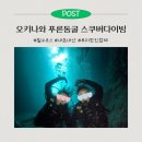 푸른안경 | 오키나와 푸른동굴 스쿠버다이빙ㅣ루리 내돈내산 솔직후기