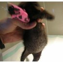 유니온동물의료센터 이미지