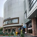엑스포로 | 성심당 DCC점 생귤롤 평일 오전 방문후기