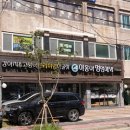 야옹아멍멍해봐