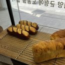 퀸타일아저씨 이미지