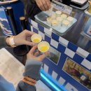 그린푸드 | 2026 제10회 푸드테크 비건페스타 그린페스타 후기