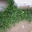 산들내민박 이미지