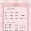 원데이클래스 | 분당 취미 미술학원 서아화실 아크릴화 원데이클래스 후기