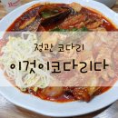 이것이코다리다 이미지