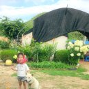 동상어린이집 | [soomile🐻] 어린이집 여름방학 보내기 | 4살 아이와 일주일 가볼만한곳 &amp; 일상