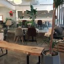 카페플래닛(cafe planet) 이미지