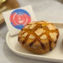 스코넬리 이미지