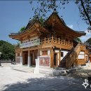 수원-1798 Daum카페