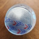 치예랑 | 혈당 스파이크 방지템! &lt;셀핏/ 애플사이다비니거플러스&gt; 후기