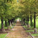 성불산자연휴양림 이미지